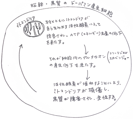 ドーパミン産生細胞