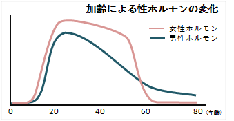 テストステロンとエストロゲンの変化